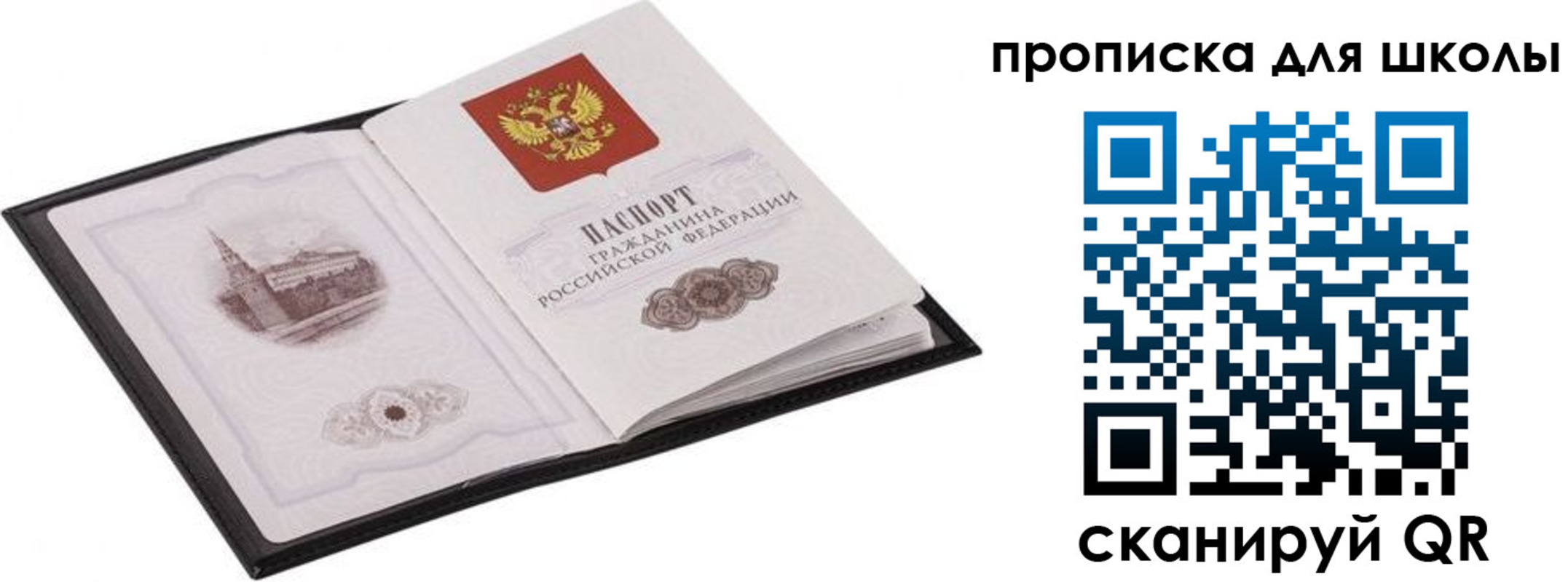 прописка в квартире в Курской области